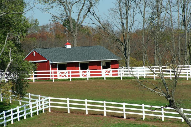 Horse Fence Painting in Waco, TX