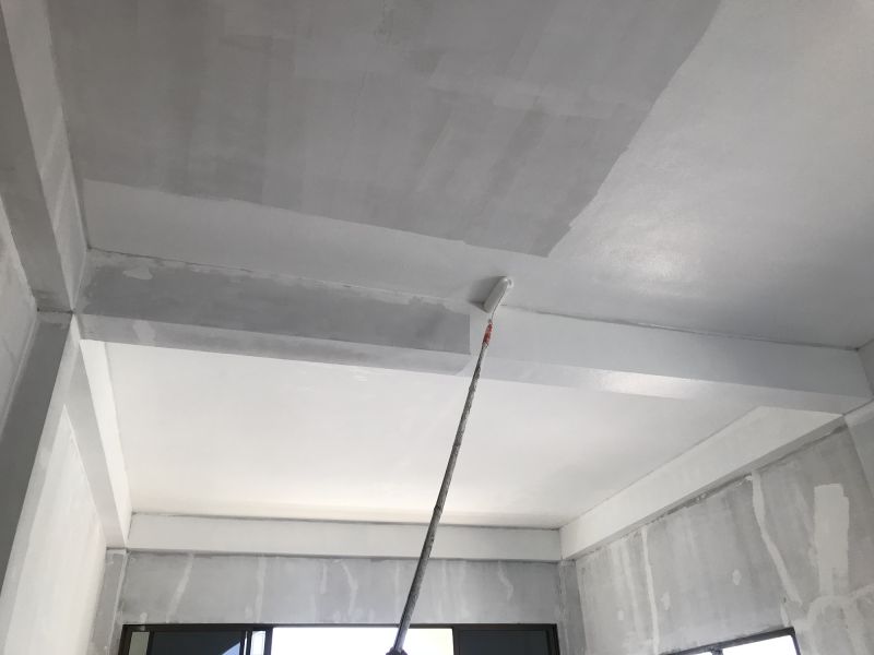 House Ceiling Painting in Wilmington, NC