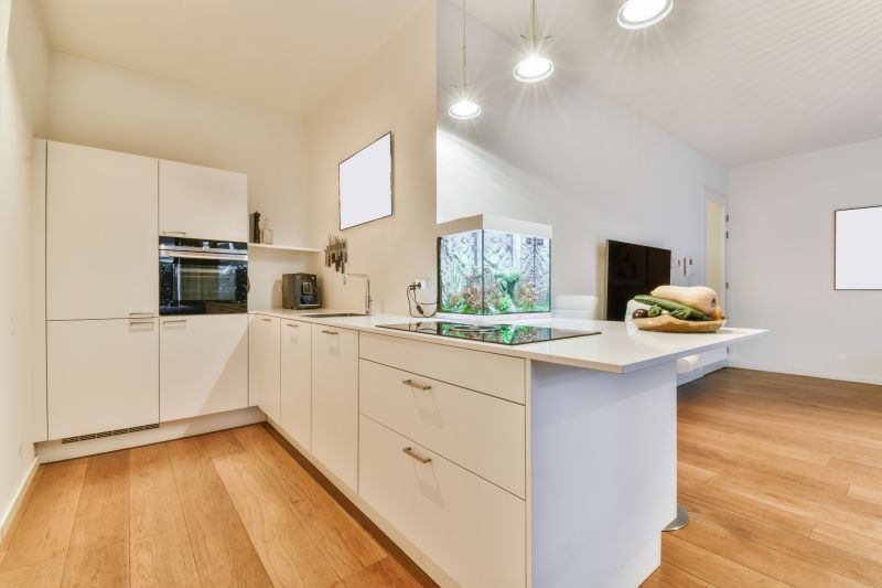 Kitchen Interior Color